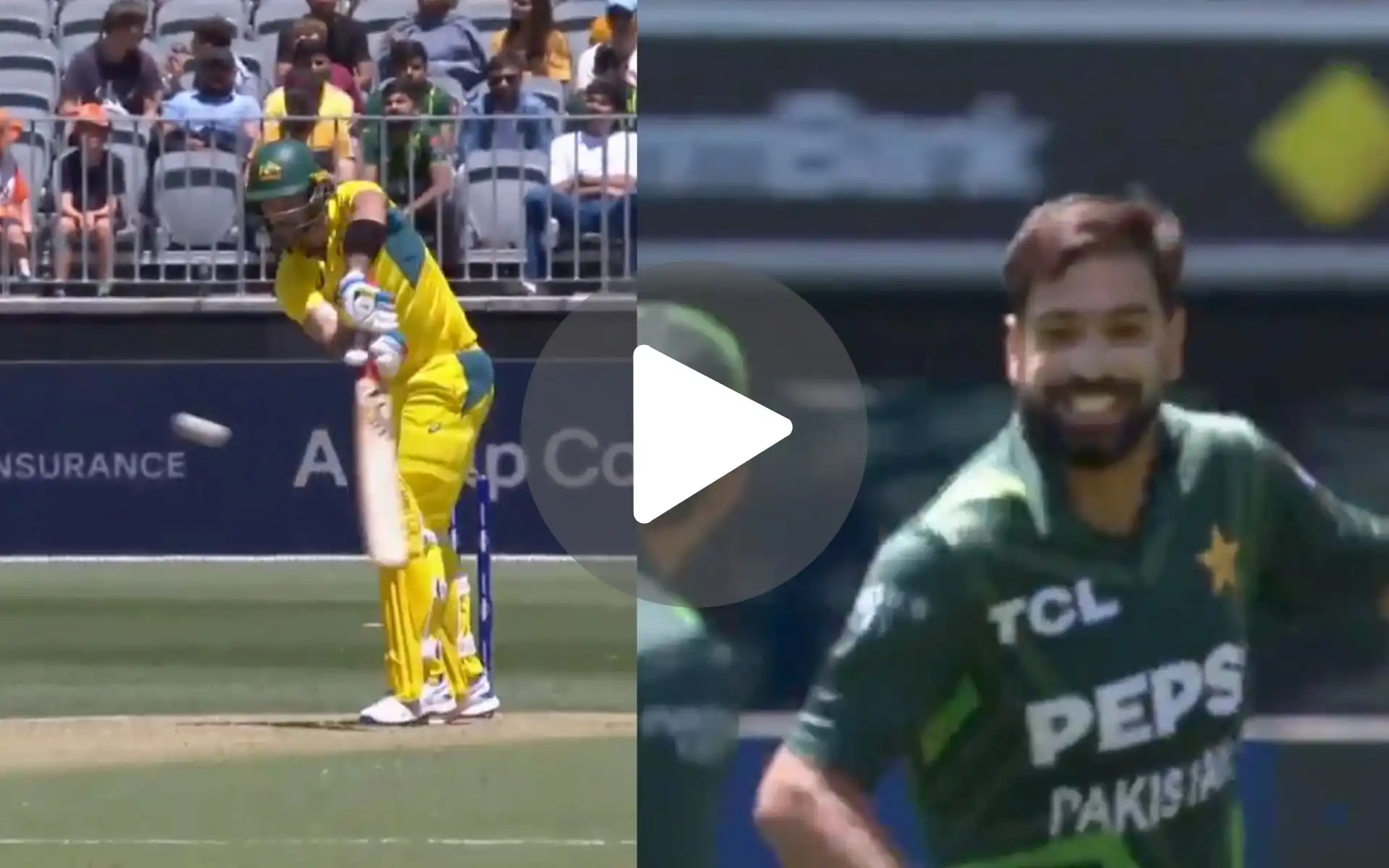 [Watch] In-Form Haris Rauf Rocks Australia As He Makes Maxwell His Bunny For A Silver Duck